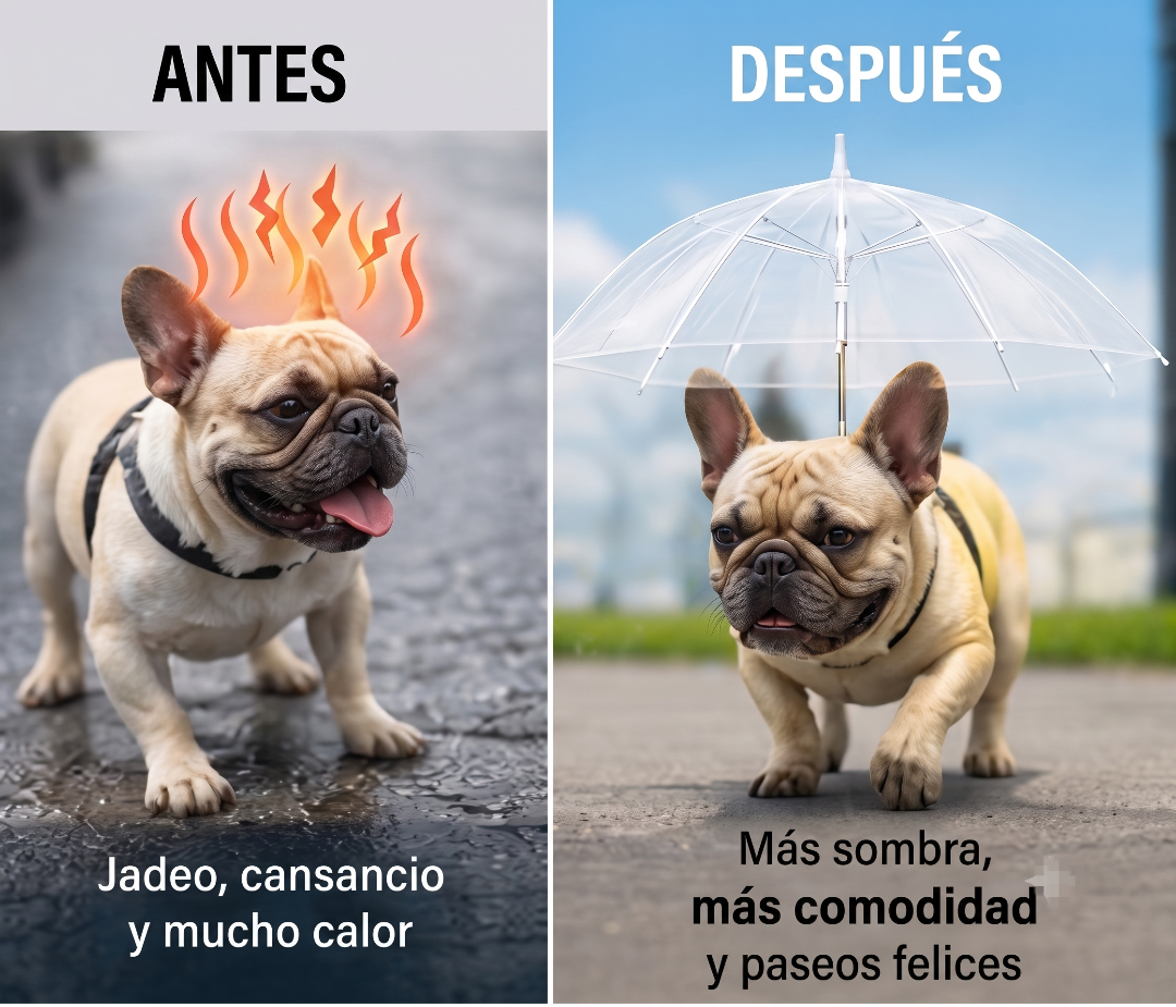 Sombrilla Para Mascotas